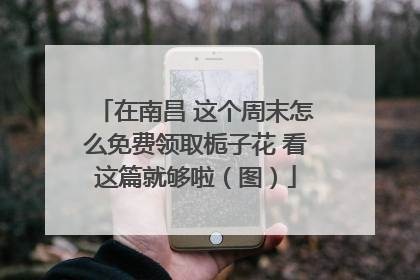 在南昌 这个周末怎么免费领取栀子花 看这篇就够啦（图）